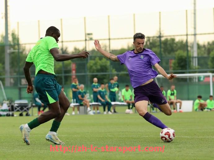 星空体育app-德甲球队为何那么强?背后的训练体系与管理经验揭秘