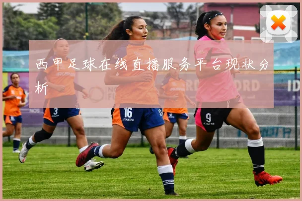 西甲足球在线直播服务平台现状分析