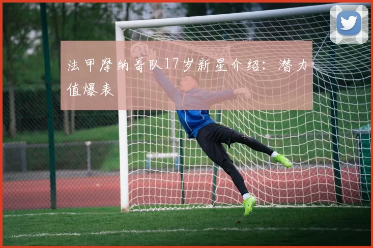 法甲摩纳哥队17岁新星介绍：潜力值爆表